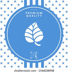 Leaf symbol logo. Graphic elements for your design