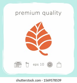 Leaf symbol logo. Graphic elements for your design