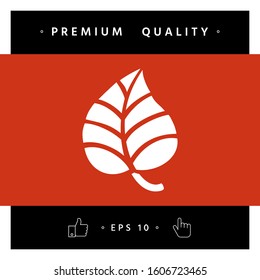 Leaf symbol logo. Graphic elements for your design