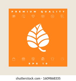 Leaf symbol logo. Graphic elements for your design