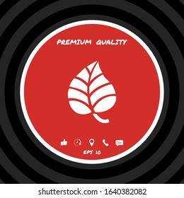 Leaf symbol logo. Graphic elements for your design