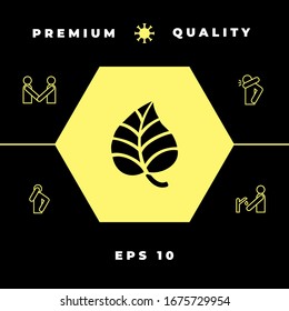 Leaf symbol logo. Graphic elements for your design
