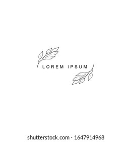 Leaf symbol, logo, icon and sign collection. Floral design element.