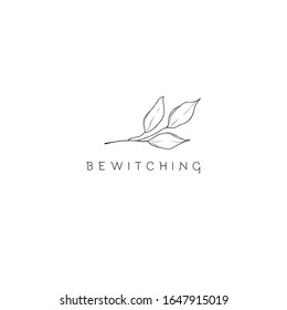 Leaf symbol, logo, icon and sign collection. Floral design element.
