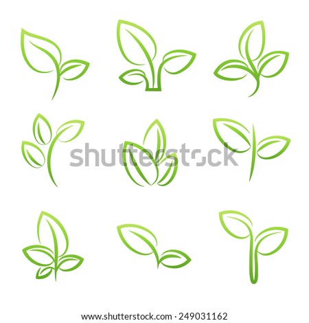 Leaf symbol, Set of green leaves design elements, vector illustration.