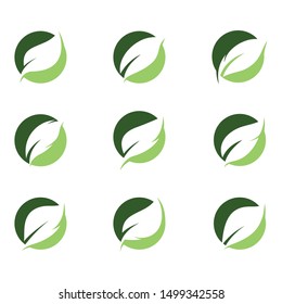 Leaf symbol vector icon illustration