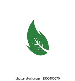 Leaf symbol vector icon illustration