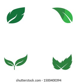 Leaf symbol vector icon illustration
