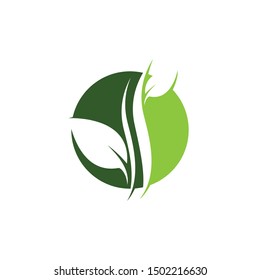 Leaf symbol vector icon illustration