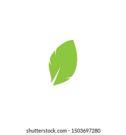Leaf symbol vector icon illustration