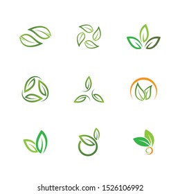 Leaf symbol vector icon illustration