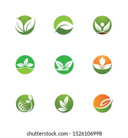 Leaf symbol vector icon illustration