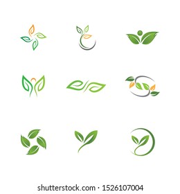 Leaf symbol vector icon illustration