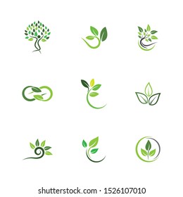 Leaf symbol vector icon illustration