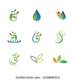 Leaf symbol vector icon illustration