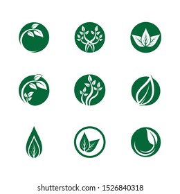 Leaf symbol vector icon illustration