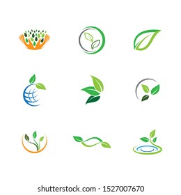 Leaf symbol vector icon illustration