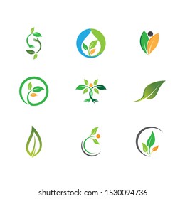 Leaf symbol vector icon illustration