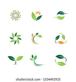 Leaf symbol vector icon illustration