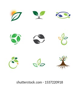 Leaf symbol vector icon illustration