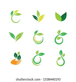 Leaf symbol vector icon illustration