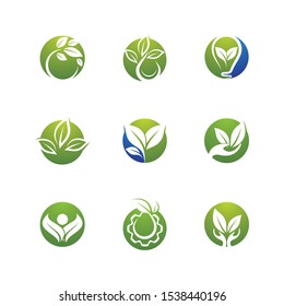 Leaf symbol vector icon illustration