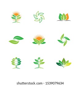 Leaf symbol vector icon illustration