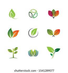 Leaf symbol vector icon illustration