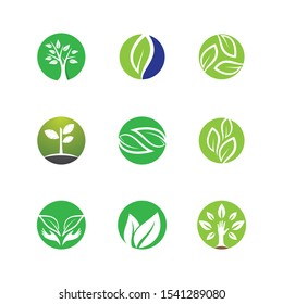 Leaf symbol vector icon illustration