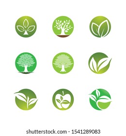 Leaf symbol vector icon illustration