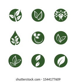 Leaf symbol vector icon illustration