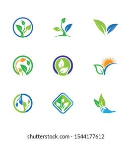 Leaf symbol vector icon illustration