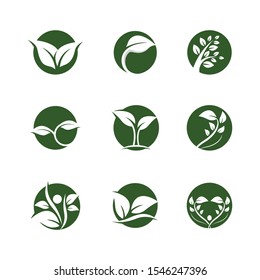 Leaf symbol vector icon illustration