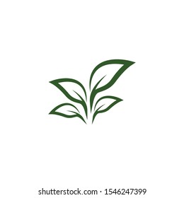 Leaf symbol vector icon illustration