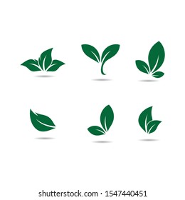 Leaf symbol vector icon illustration