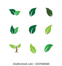 Leaf symbol vector icon illustration