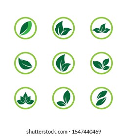 Leaf symbol vector icon illustration