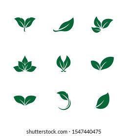 Leaf symbol vector icon illustration