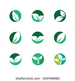 Leaf symbol vector icon illustration