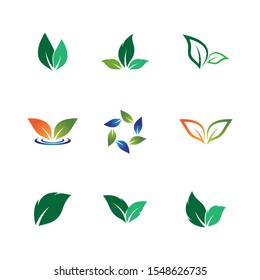 Leaf symbol vector icon illustration