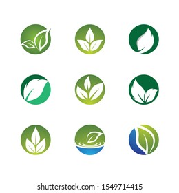 Leaf symbol vector icon illustration