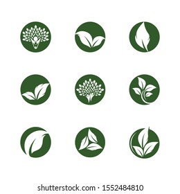 Leaf symbol vector icon illustration