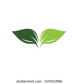 Leaf symbol vector icon illustration