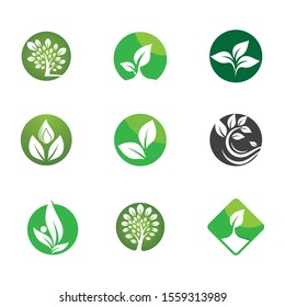 Leaf symbol vector icon illustration