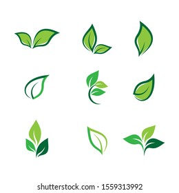 Leaf symbol vector icon illustration