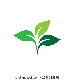 Leaf symbol vector icon illustration