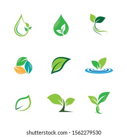 Leaf symbol vector icon illustration