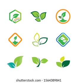 Leaf symbol vector icon illustration