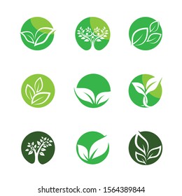 Leaf symbol vector icon illustration