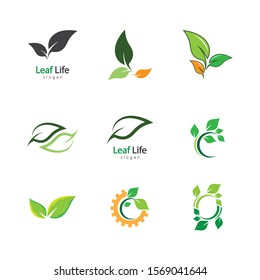Leaf symbol vector icon illustration
